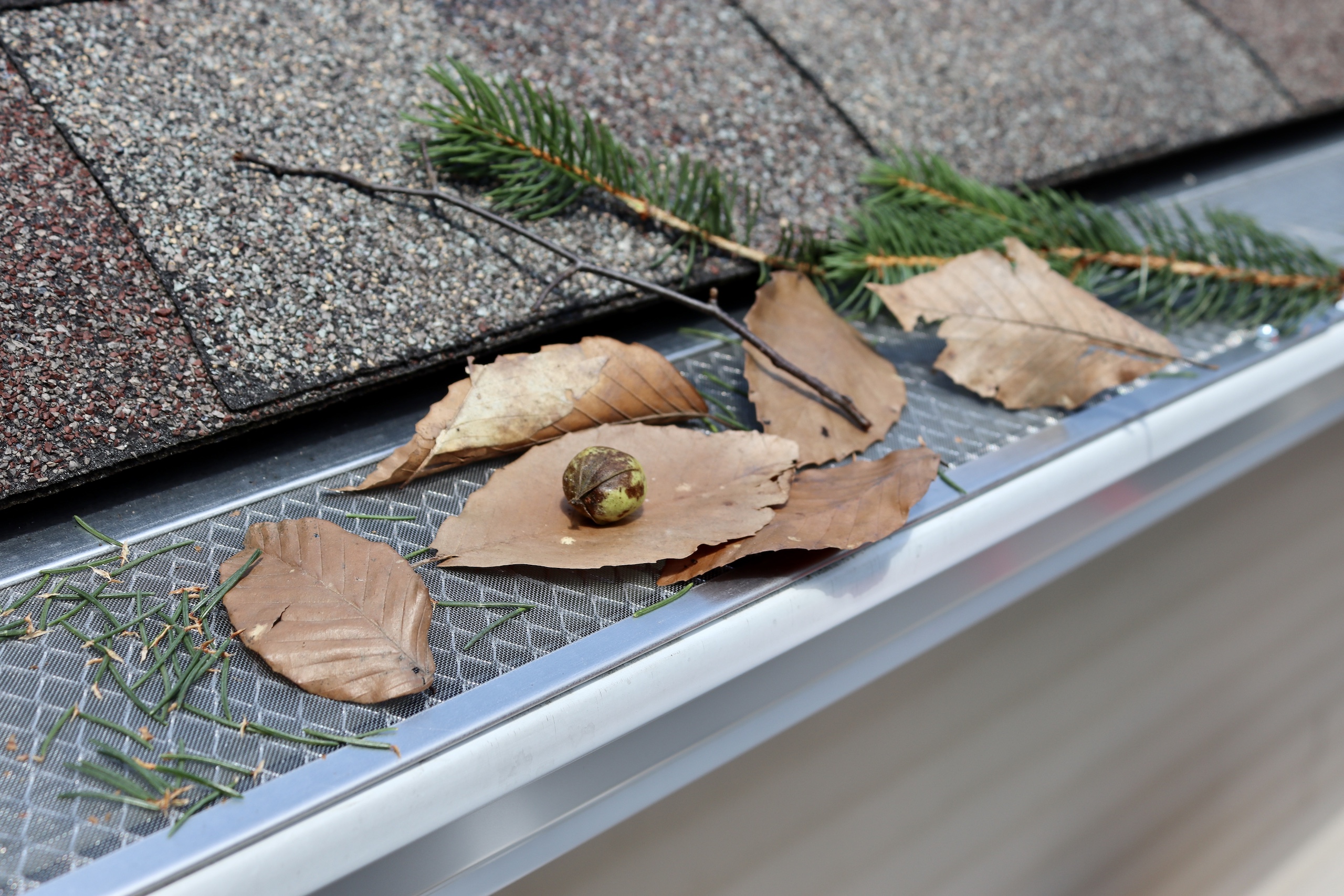 Gutter Guards